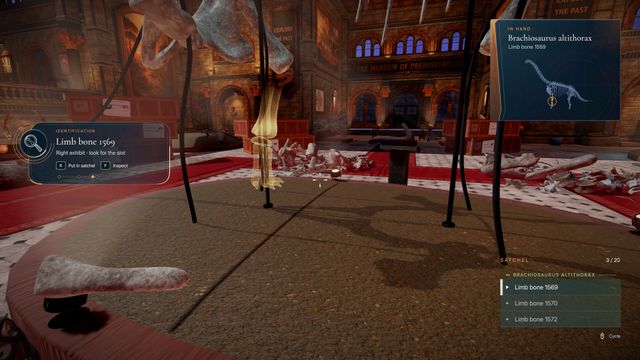 DinoBones: Tidy Up the Museum screenshot 4